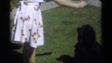 1949: a woman feeding a black dog standing on the green meadow on a sunny day