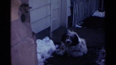 1959: a hairy dog lays outside the door of a home surrounded by snow OHIO