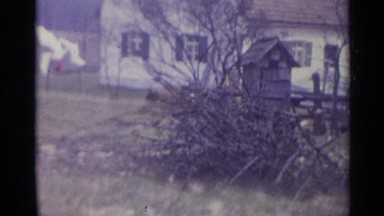 1961: Lady Collecting Wood Sticks to Build Fire in Spain