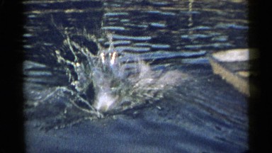 1954: two children in a boat, one jumps off NEW YORK