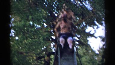 1954: bare-chested men brave a slide in the middle of the woods NEW YORK