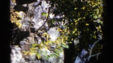 1960: a stream flows in the sunny woods next to trees and multiple large rocks
