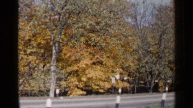 1960: beautiful nature place around the forest and middle of road SIOUX FALLS