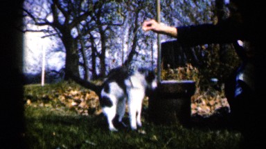 1960: a catwalk to come eat for our food give the mouth hand touch the bench