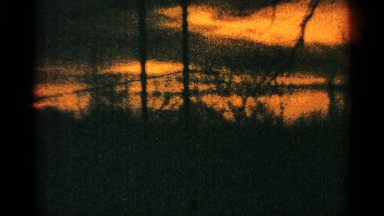 1964: the nature view in the sun rise in the red color open the sun shine