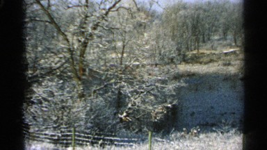 1965: some trees without leafs and some are looking little leafs and some water