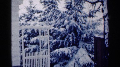1964: winter day beside house balcony tree leaves are covered with snow
