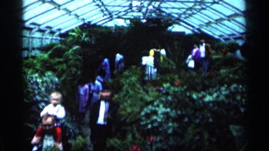 1964: people are watching the flowers and plants at the garden at the morning