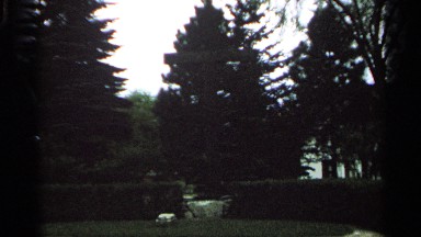 1964: the garden are very evening time to shoot in this place