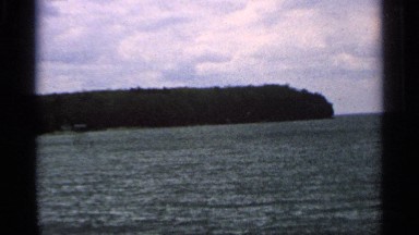 1964: full of water at the forest place and some trees and plants