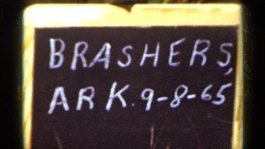1965: Name Board Showing Brasher Ark 9-8-65 and Forest Land in Dull Daylight