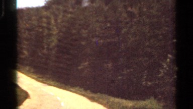 1965: one speed to drive in hills station near to tree and sky view morning time