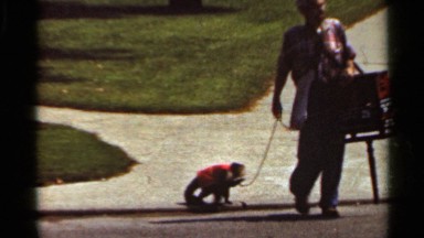 1965: smoking organ grinder walking with his monkey then cuts to ambulance