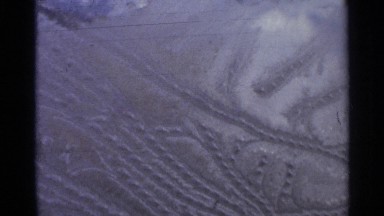 1966: Beautiful Forest Landscape in Hamel Minnesota