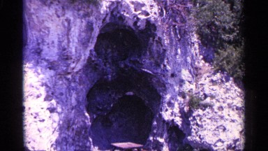 1960: beautiful nature place around the forest MICHIGAN
