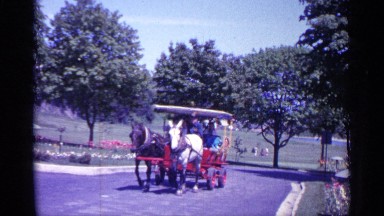1960: riding in a horse drawn wagon MICHIGAN