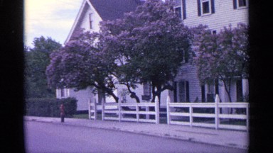 1960: trees in front of a white house MICHIGAN