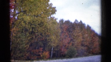 1960: orange, yellow and green leaves highlight autumn on the side of road