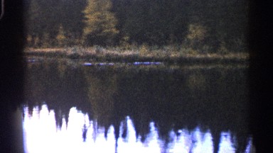 1960: trees line along the bank of a river, and the reflection of the trees