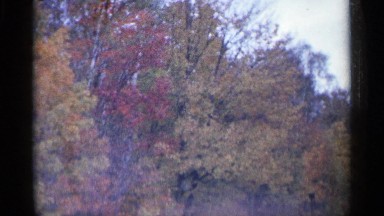 1960: an autumn forest crowds and colors both sides of a stretch of highway