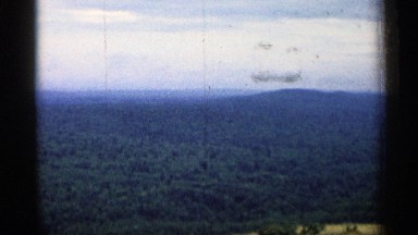 1960: many trees are showed it look like a big forest like a amazon