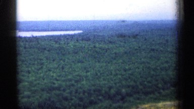 1960: the flight move time low angle view morning time clear view big forest