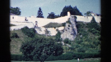 1960: a beautiful nature with more trees and plants and a garden