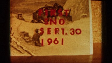 1961: poster from 1961 then flower in snow. MINNESOTA