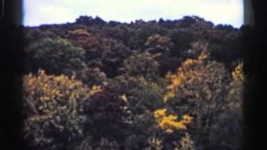 1961: beautiful view of nature and trees over riff of forest and great view