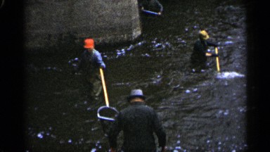1961: fisherman wearing fishing waders use nets to fish in hip deep fast moving