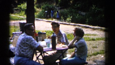 1961: family enjoying a picnic in the park MINNESOTA