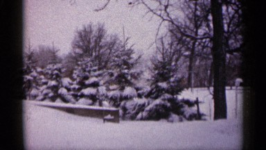 1961: a cold chilling climate everything covered in snow, branches of trees