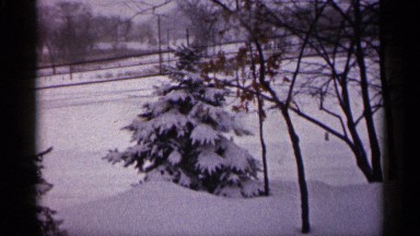 1961: the white snow over everywhere, and on small pine tree. MINNESOTA