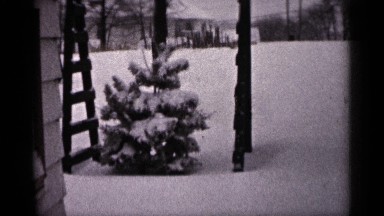 1961: beautiful nature place around the snows in small home base MINNESOTA
