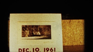 1961: an album with a photo that mentioned the year 1961 and small trees