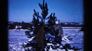 1961: two people are taking a big leafs from one place to another place