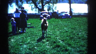 1963: small horses at the park during a car show MONTGOMERY MINNESOTA