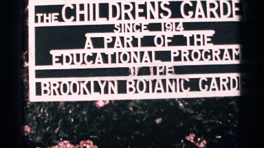 1964: the educational program has conducting by welfare association