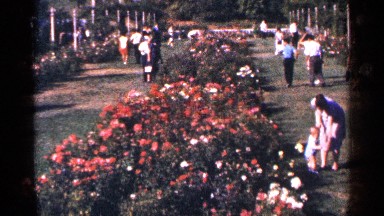 1964: People Walking in a Flowery Park in New York City