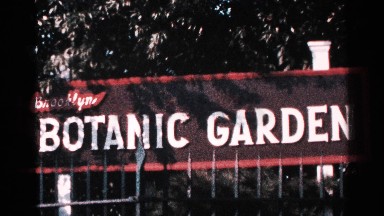 1964: tree limbs cast a shadow on a brooklyn botanic garden sign