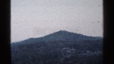 1964: a mountain with full of trees and plants the sky