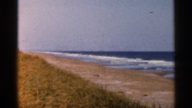 1966: beautiful nature place around the beach FLORIDA