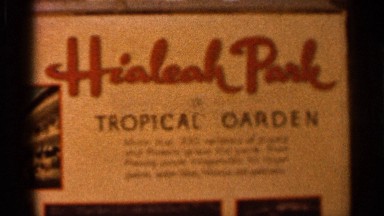 1966: hialeah park tropical garden board in late 80s period beauty of garden