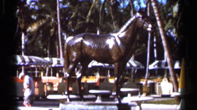 1966: a horse statue at the near of the river the people watch the horse statue