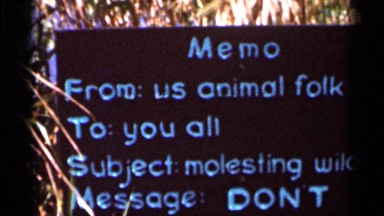 1966: a board of sign that represents a memo that inform don't molesting animals