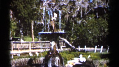 1966: Green Park with Waterfalls, Enjoying Nature in Florida