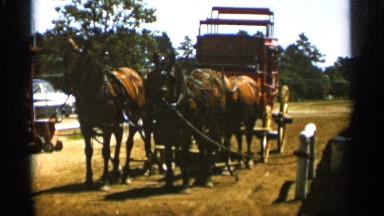 1965: a horse drawn buggy is tied to a hitching post on a sunny day. DULUTH