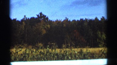 1965: blue sky countryside trees, fields with crops and side road on shiny day
