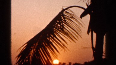 1966: a sun going to sunset at the evening time and a leaf also looking cute