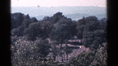 1964: beautiful view of nature mountain with a lot of trees in forest